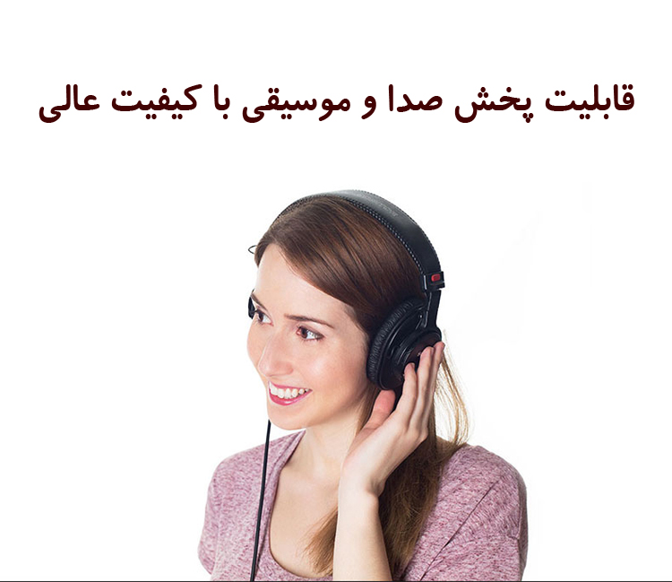   دستگاه ضبط صدا Newsmy RV75 